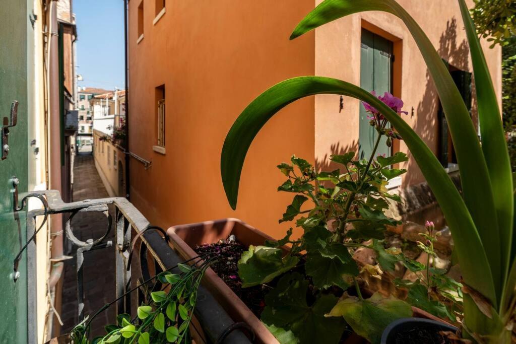 شقة Ca' Mandorla 027042Loc09523 البندقية المظهر الخارجي الصورة